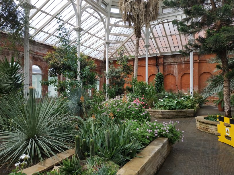 A visit to Eltham's Avery Hill park and Winter Gardens - Murky Depths